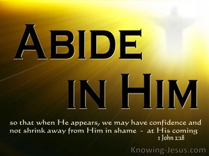 1 John 2:28